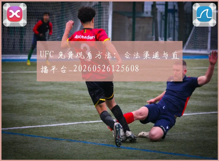 UFC 免费观看方法：合法渠道与直播平台_20260526125608