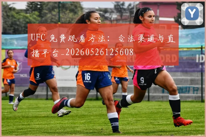 UFC 免费观看方法：合法渠道与直播平台_20260526125608
